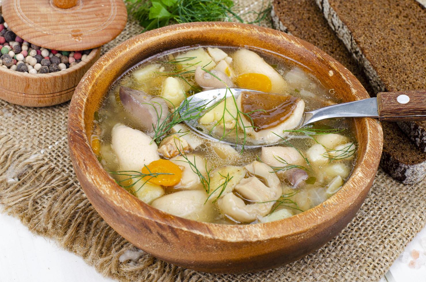 délicieuse soupe maison aux champignons sauvages. photo d'atelier.