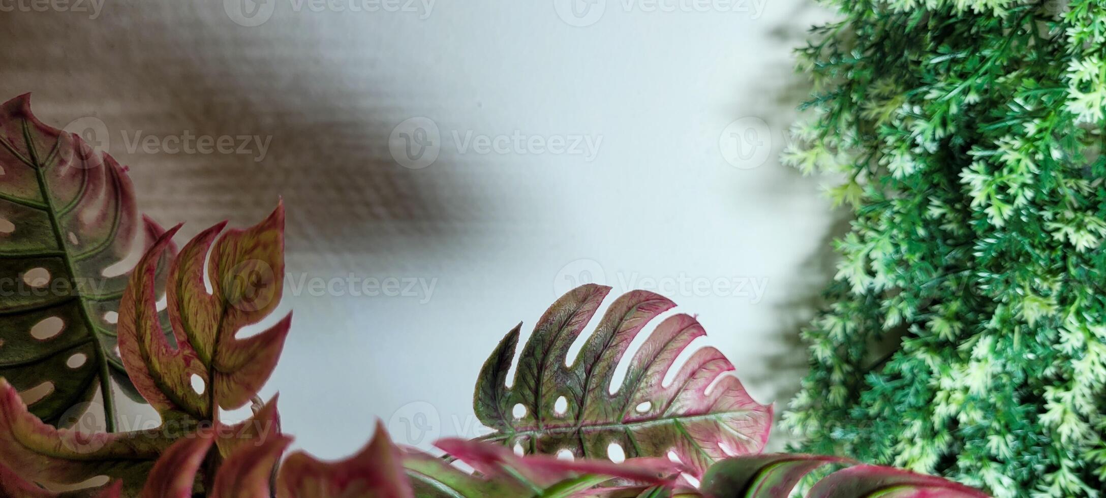 tropical plante avec vert feuilles photo