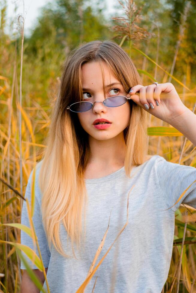 magnifique Jeune fille portant Vide gris T-shirt et noir jeans dans bleu des lunettes posant contre haute vert et Jaune herbe dans de bonne heure chaud l'automne. Extérieur portrait de magnifique femelle modèle. photo