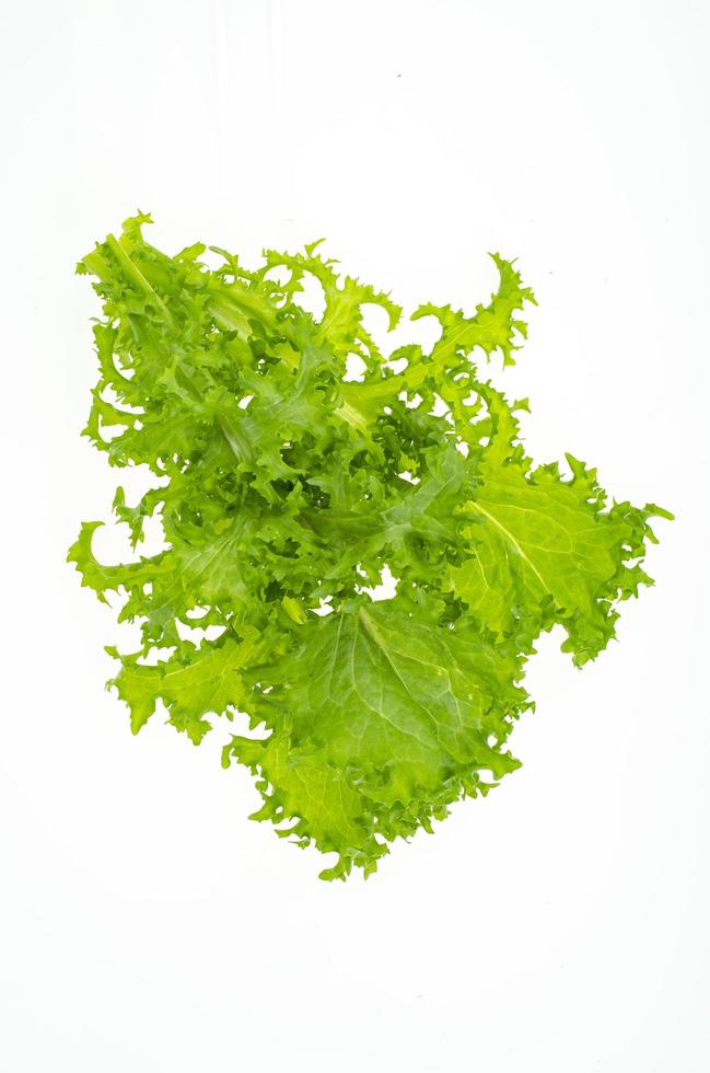 feuilles de laitue frisée verte fraîche isolées sur fond blanc. studio photo