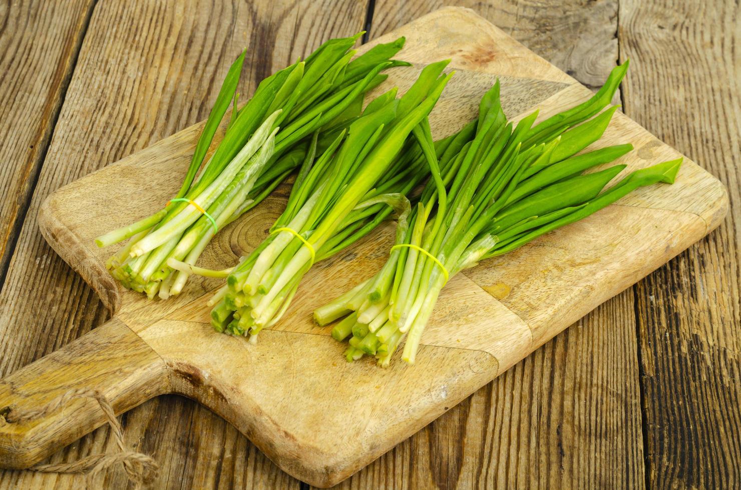 jeunes pousses vertes d'allium ursinum. photo