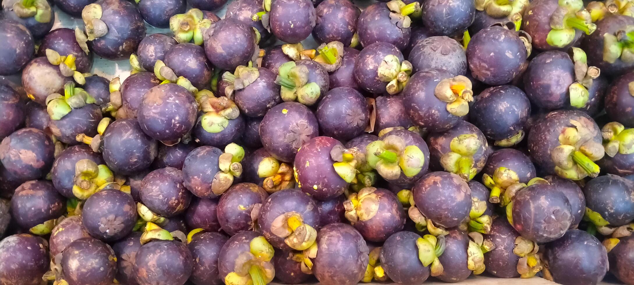 plein Cadre coup de mangoustan pour vente à marché stalle photo