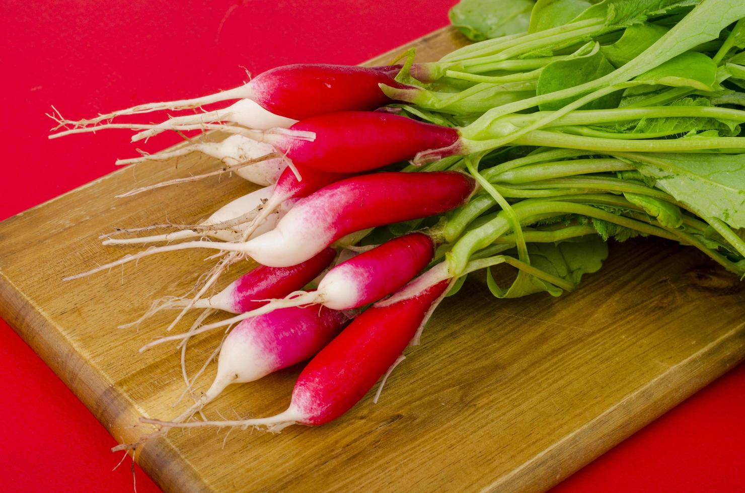 bouquet de radis écologiques frais, légumes. photo