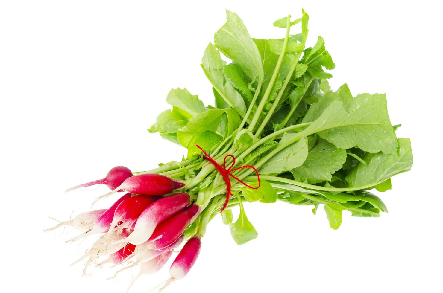 bouquet de radis écologiques frais, légumes. photo