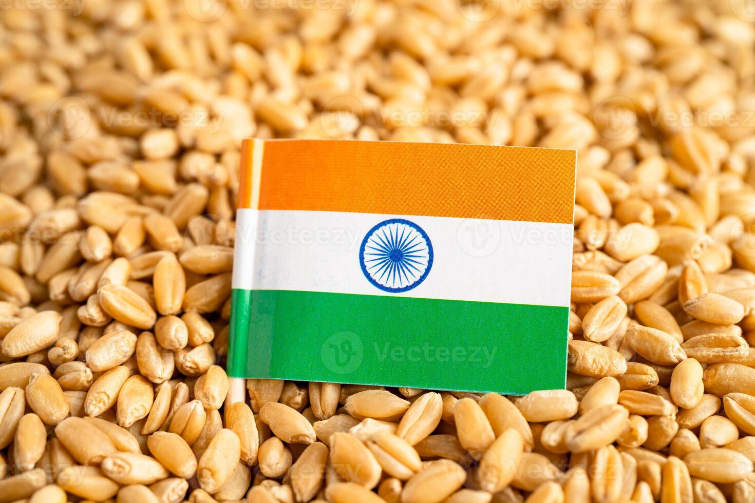 grains de blé avec drapeau de l'inde, exportation commerciale et concept d'économie. photo