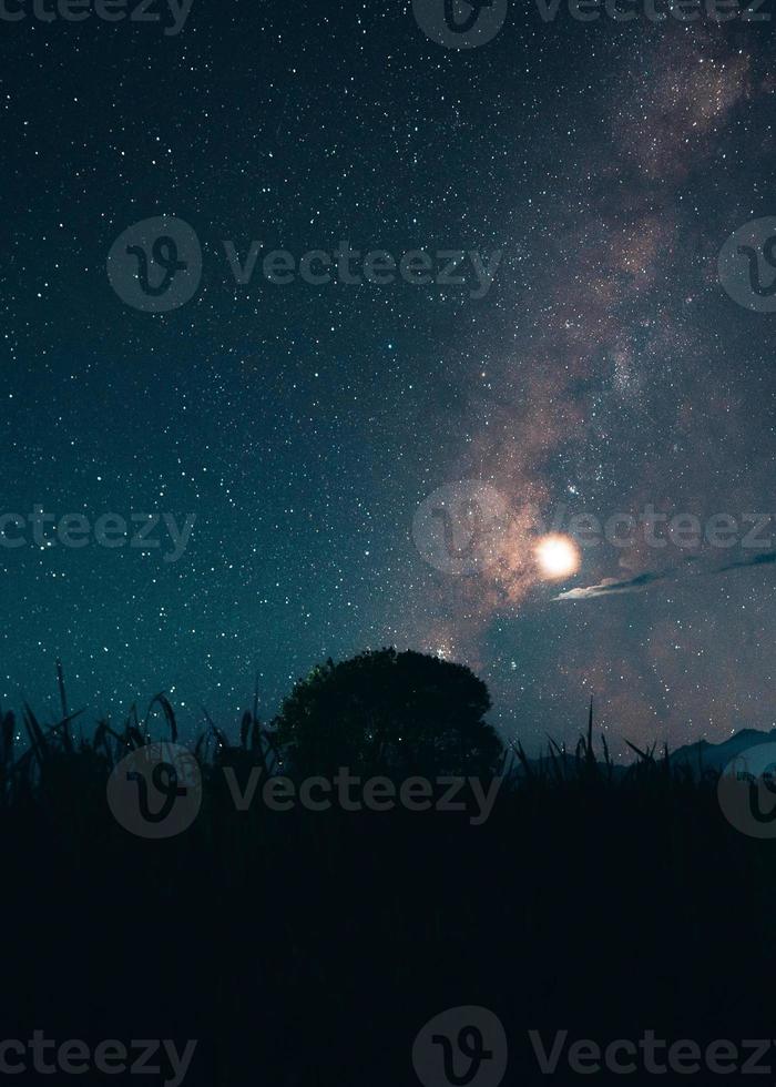 voie lactée et étoiles de nuit dans les champs photo