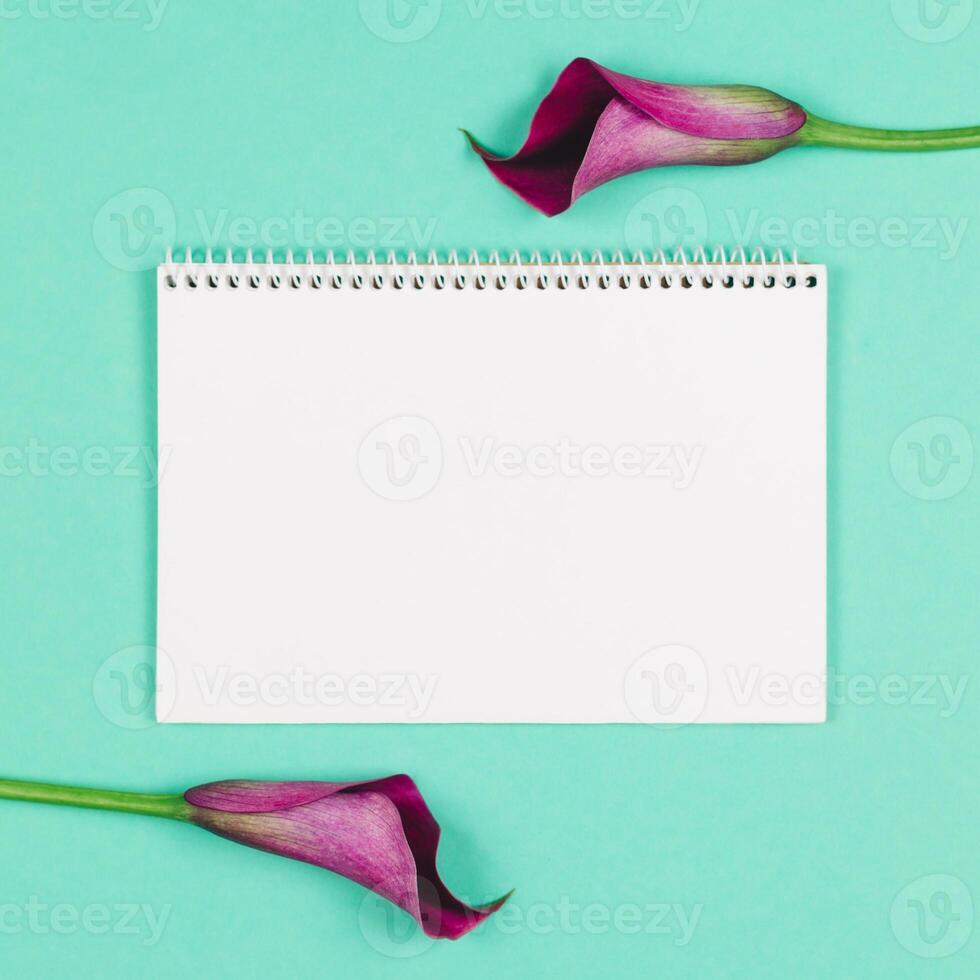 magnifique violet calla fleurs de lys et carnet avec Vide page sur turquoise Contexte. photo