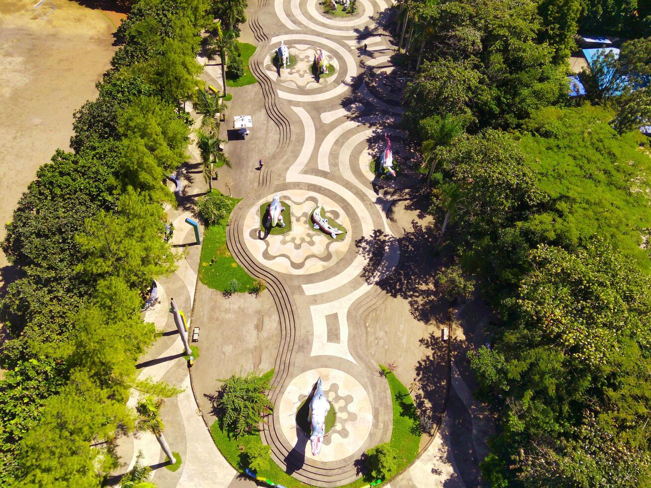 aérien coup de ville parc avec magnifique sol motifs et des arbres. texturé Contexte sol modèle. aérien la photographie. texturé détails. coup de une en volant drone photo