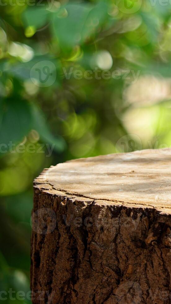 potrait Contexte dans vert Couleur photo