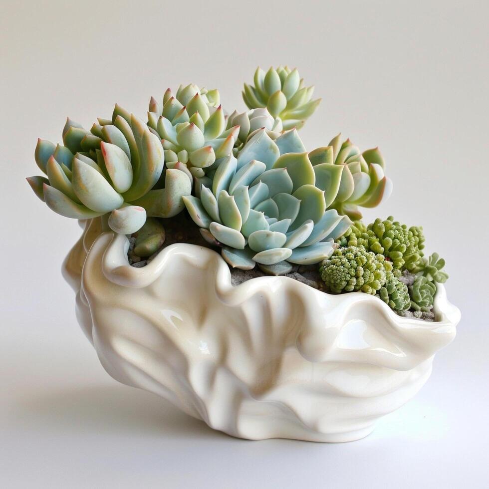 contemporain céramique vase montrant une groupe de succulent sculptures. photo