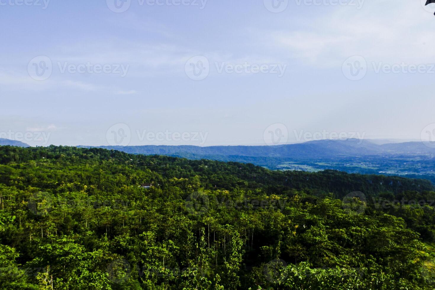 paysage avec des arbres et des nuages photo