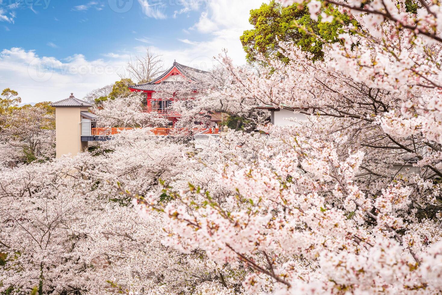 kimiidera temple, une budhist temple dans wakayama ville, Kansaï, Japon photo