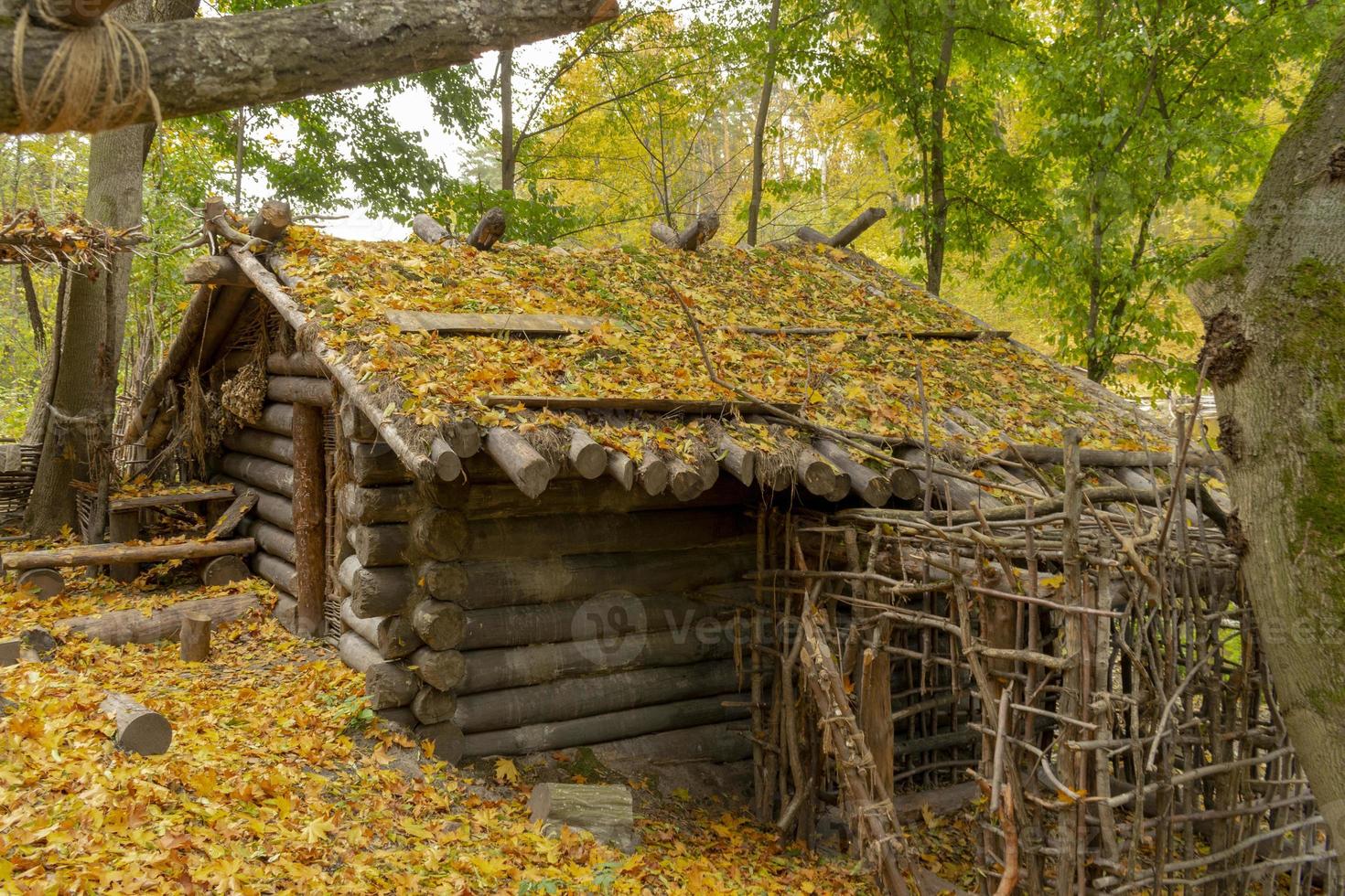 vieille cabane en bois dans la forêt d'automne parsemée de feuilles photo