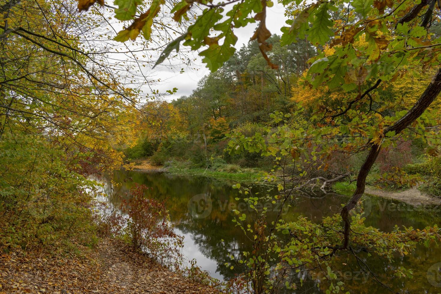 sombre paysage d'automne de forêt colorée au bord de la rivière photo