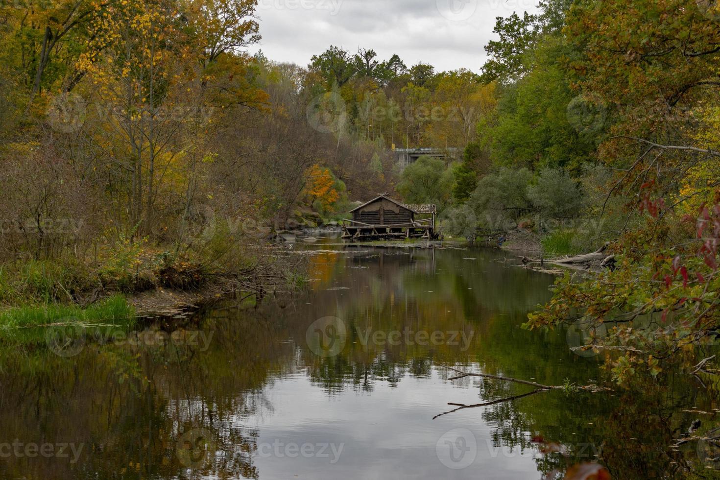 sombre paysage d'automne de forêt colorée au bord de la rivière photo