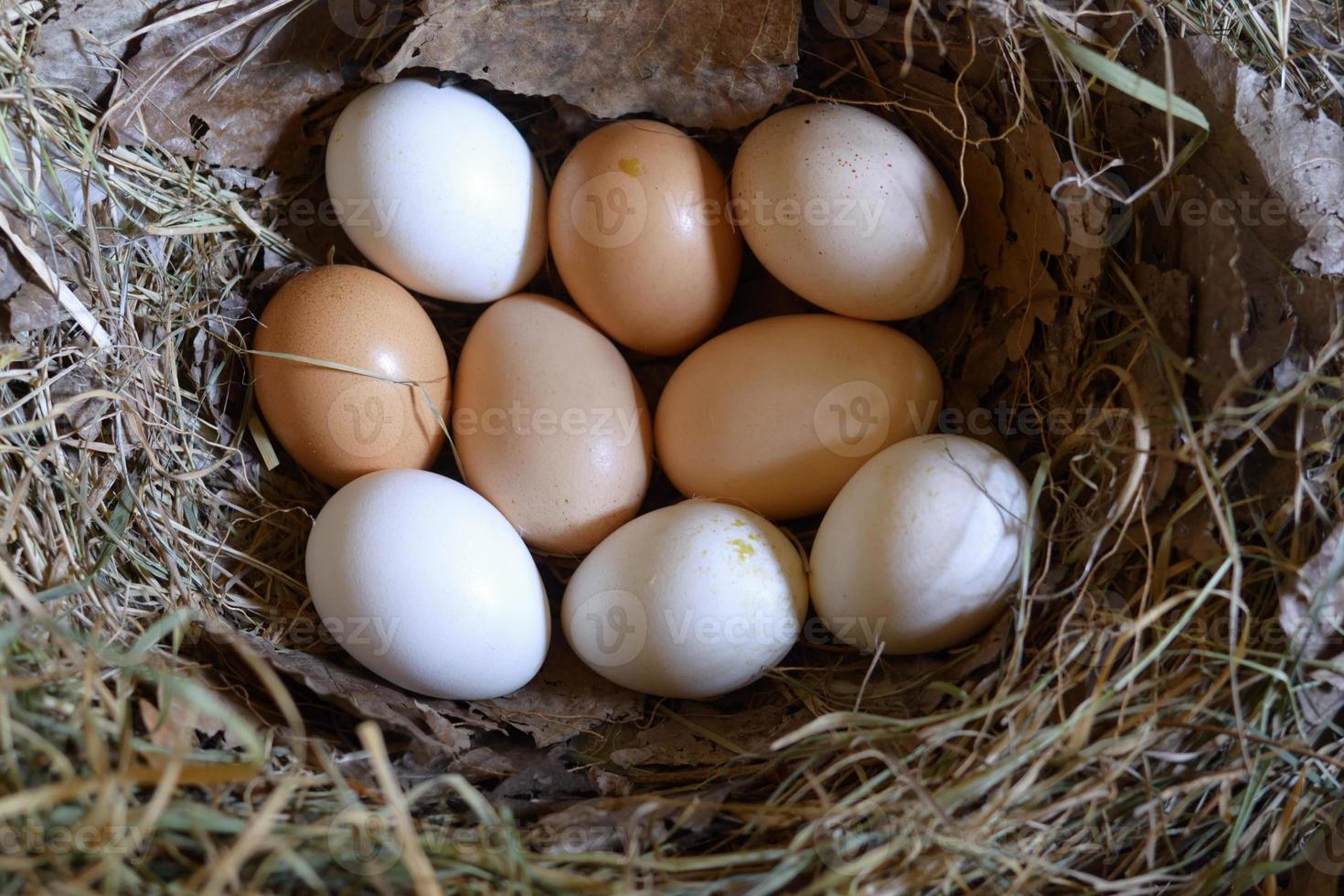 œufs de poule dans le nid.œufs de poule du fermier sur du foin dans le nid. photo