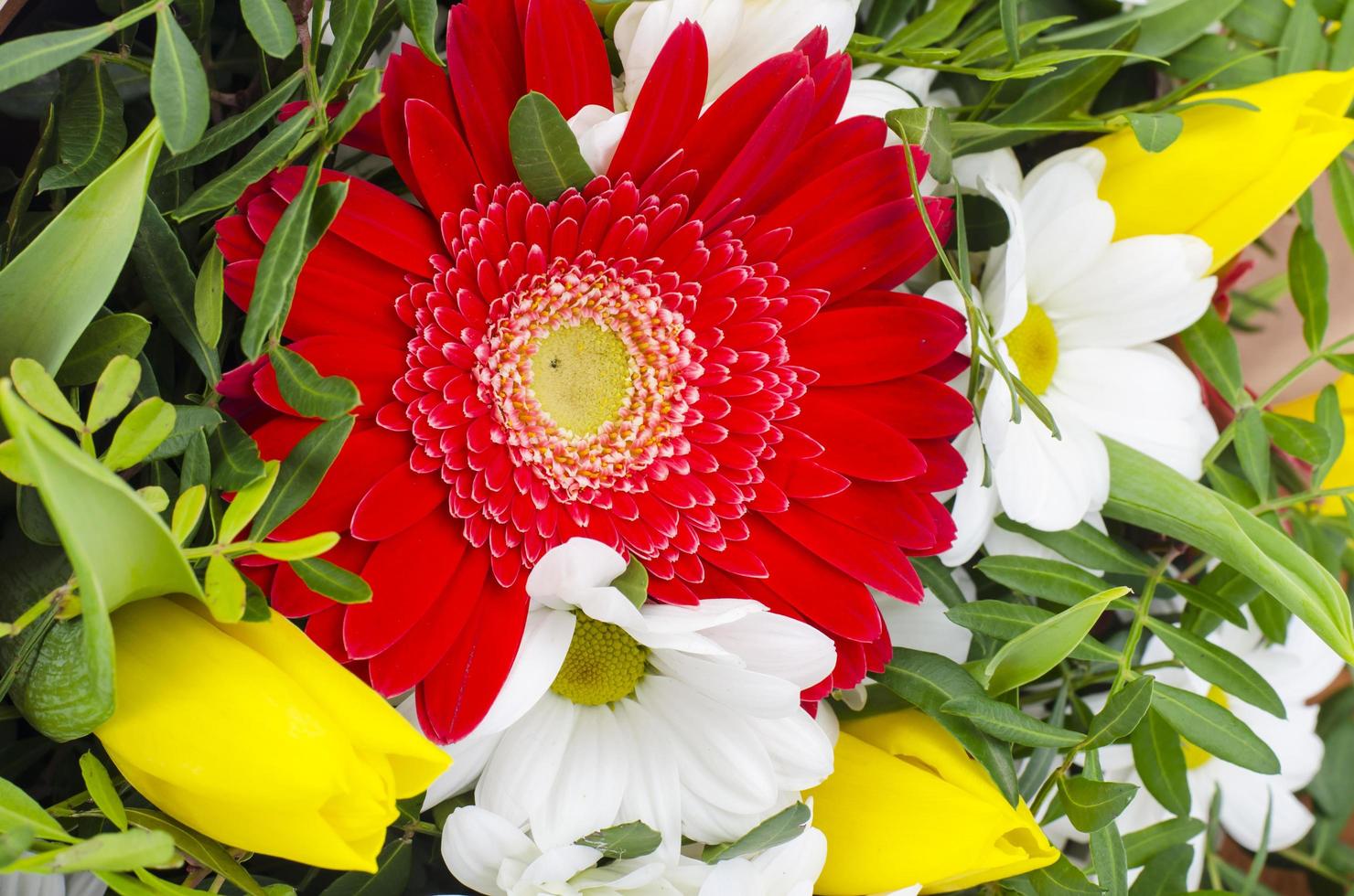 délicieux bouquet de fleurs sur fond jaune. photo d'atelier.