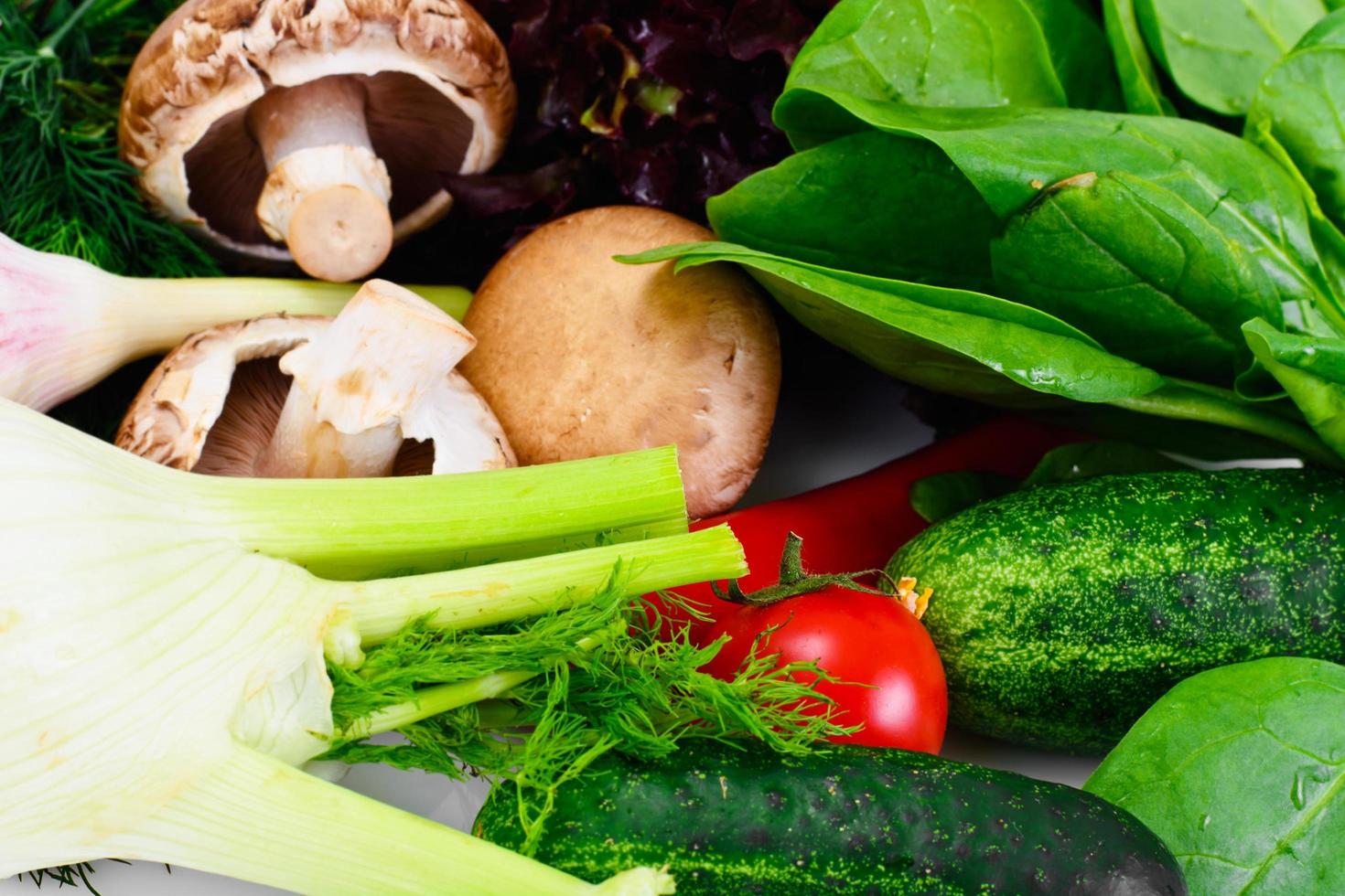 légumes tomate, poivron, champignon, concombre, radic, fenouil et photo