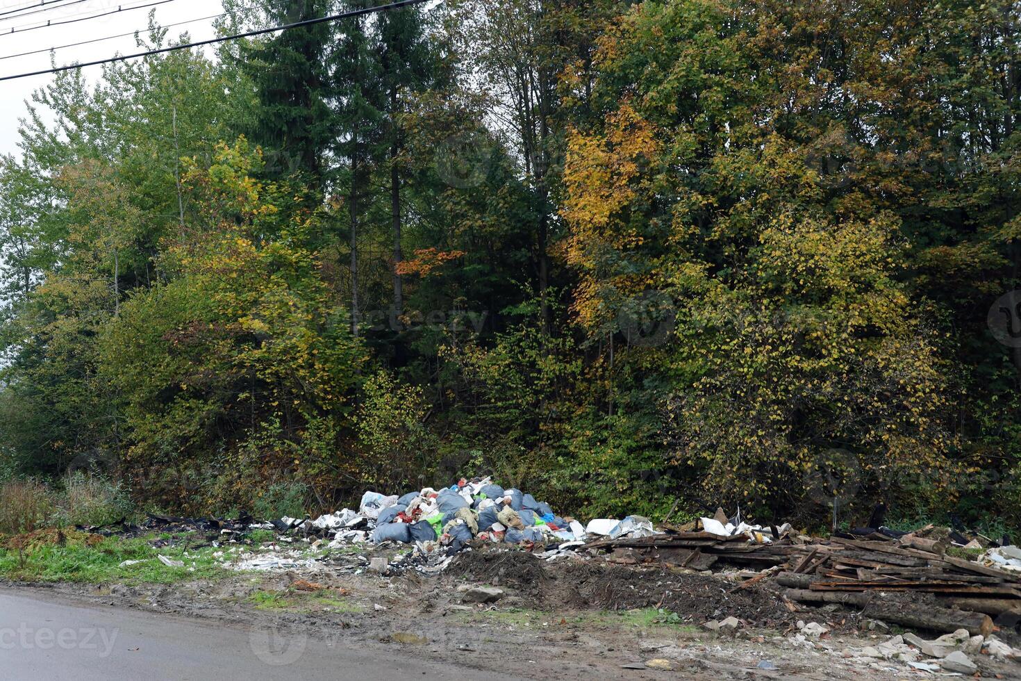 des ordures pile sans pour autant poubelle épars tout plus de le rue dans forêt photo