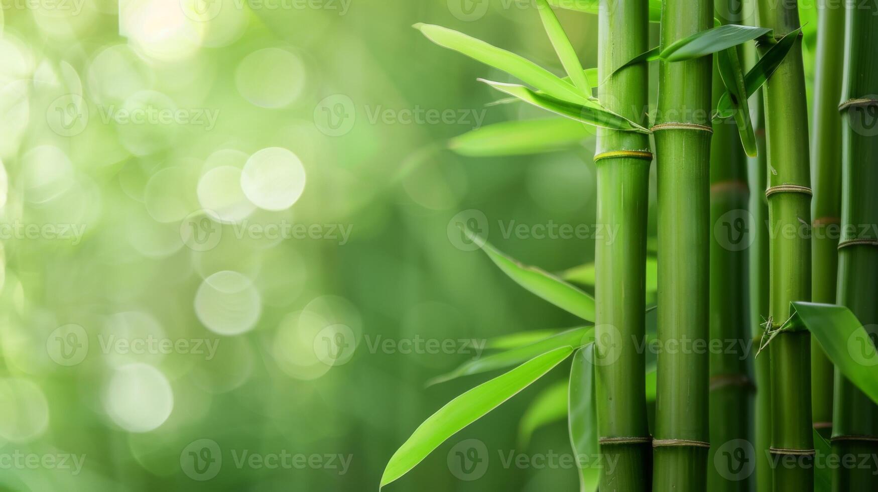 vert bambou tiges Capturer la nature tranquillité avec une serein bokeh Contexte photo