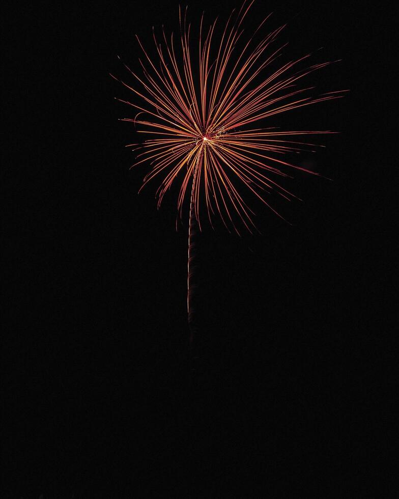 feux d'artifice exploser dans le foncé ciel à célébrer. photo