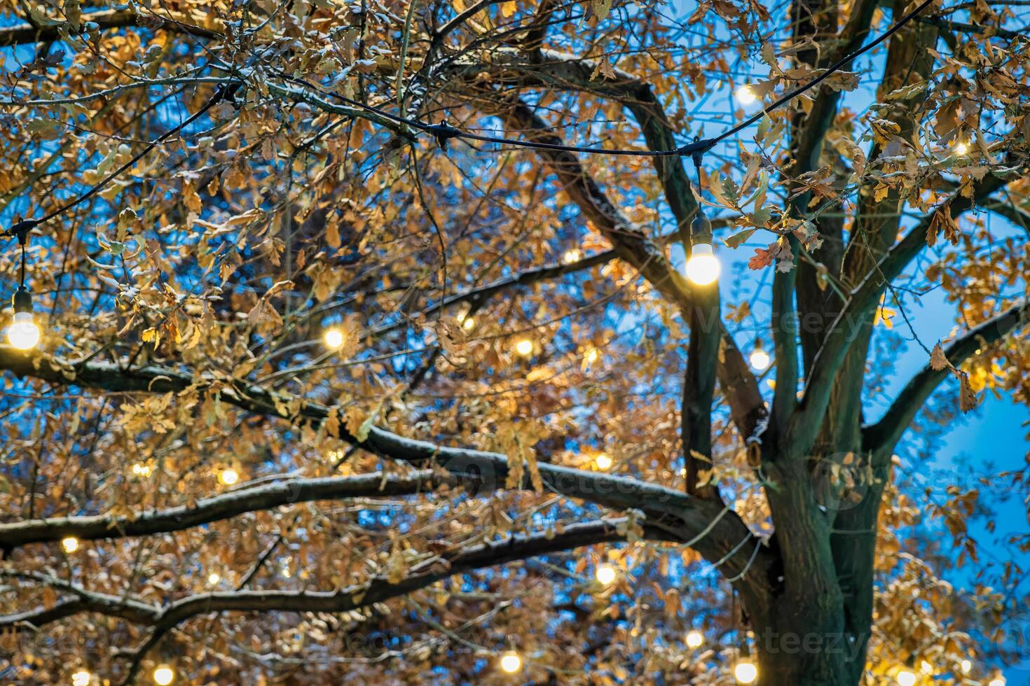 une arbre décoré avec de fête guirlandes avec lumineux ampoules contre le Contexte de le nuit ciel. photo