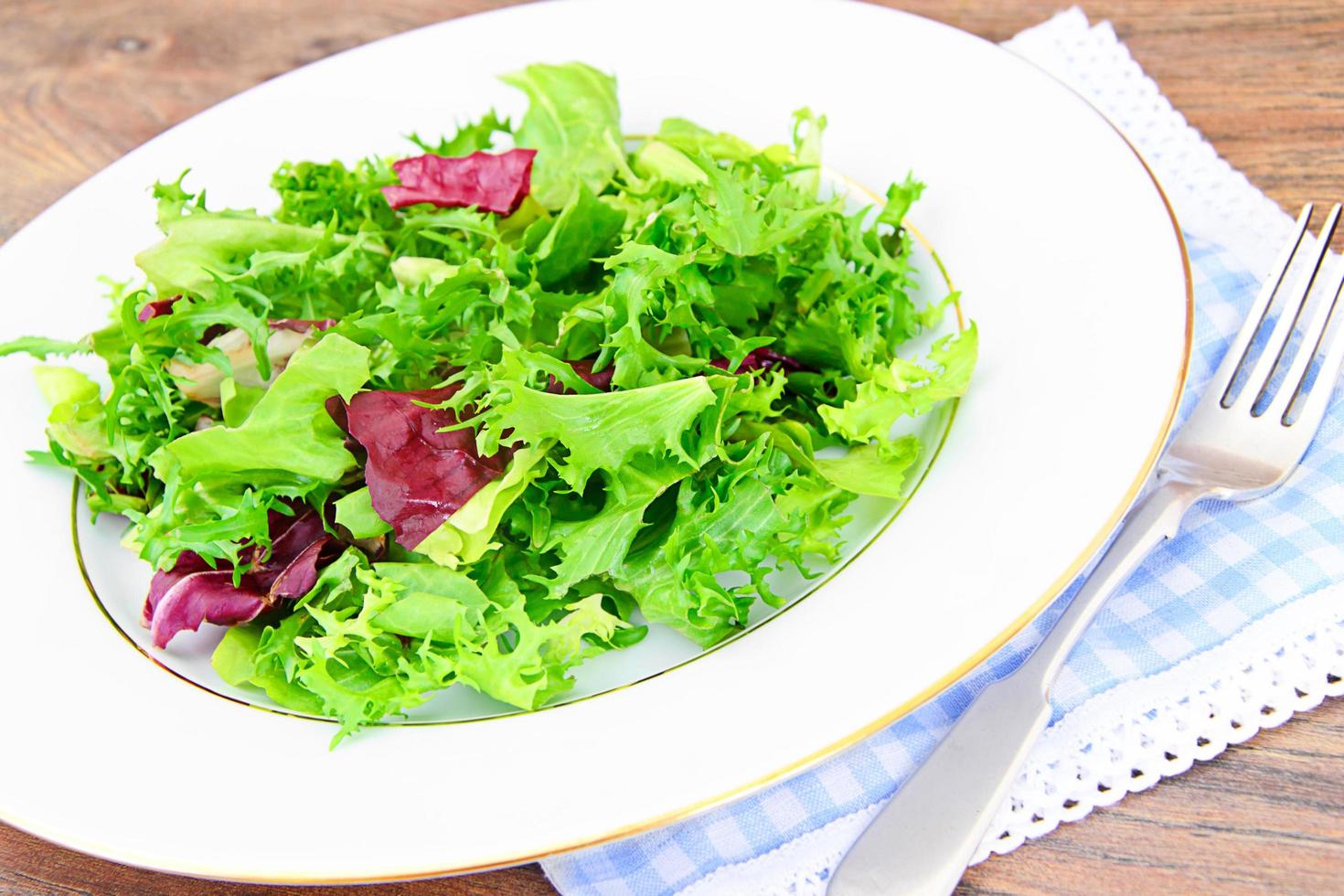 mélange de salade batave, frise, radicchio, chicorée photo