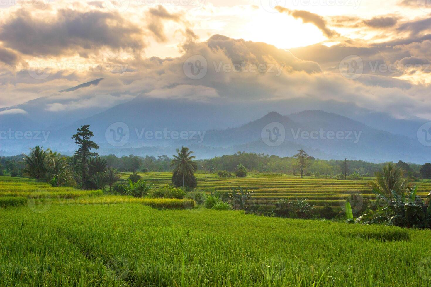 magnifique Matin vue de Indonésie de montagnes et tropical forêt photo