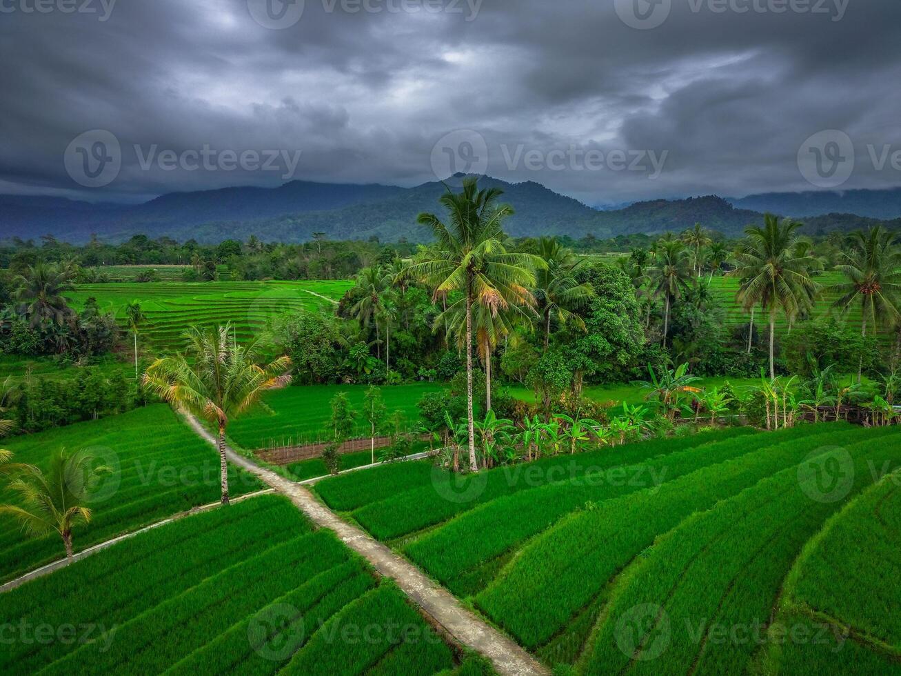 magnifique Matin vue de Indonésie de montagnes et tropical forêt photo