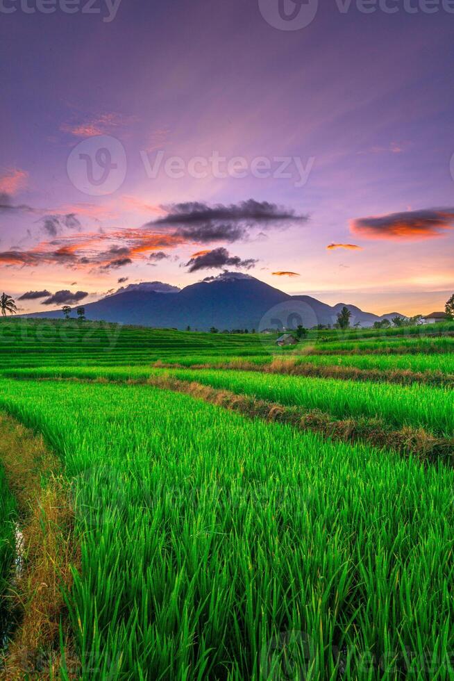 magnifique Matin vue de Indonésie de montagnes et tropical forêt photo