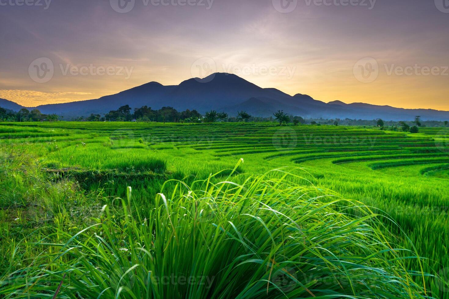 magnifique Matin vue de Indonésie de montagnes et tropical forêt photo