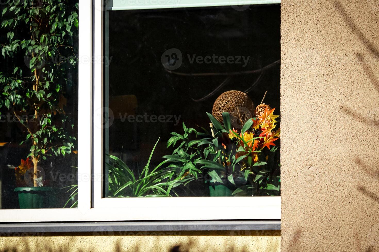 fleurs derrière une fenêtre verre de une Résidentiel zone dans une ville bâtiment photo