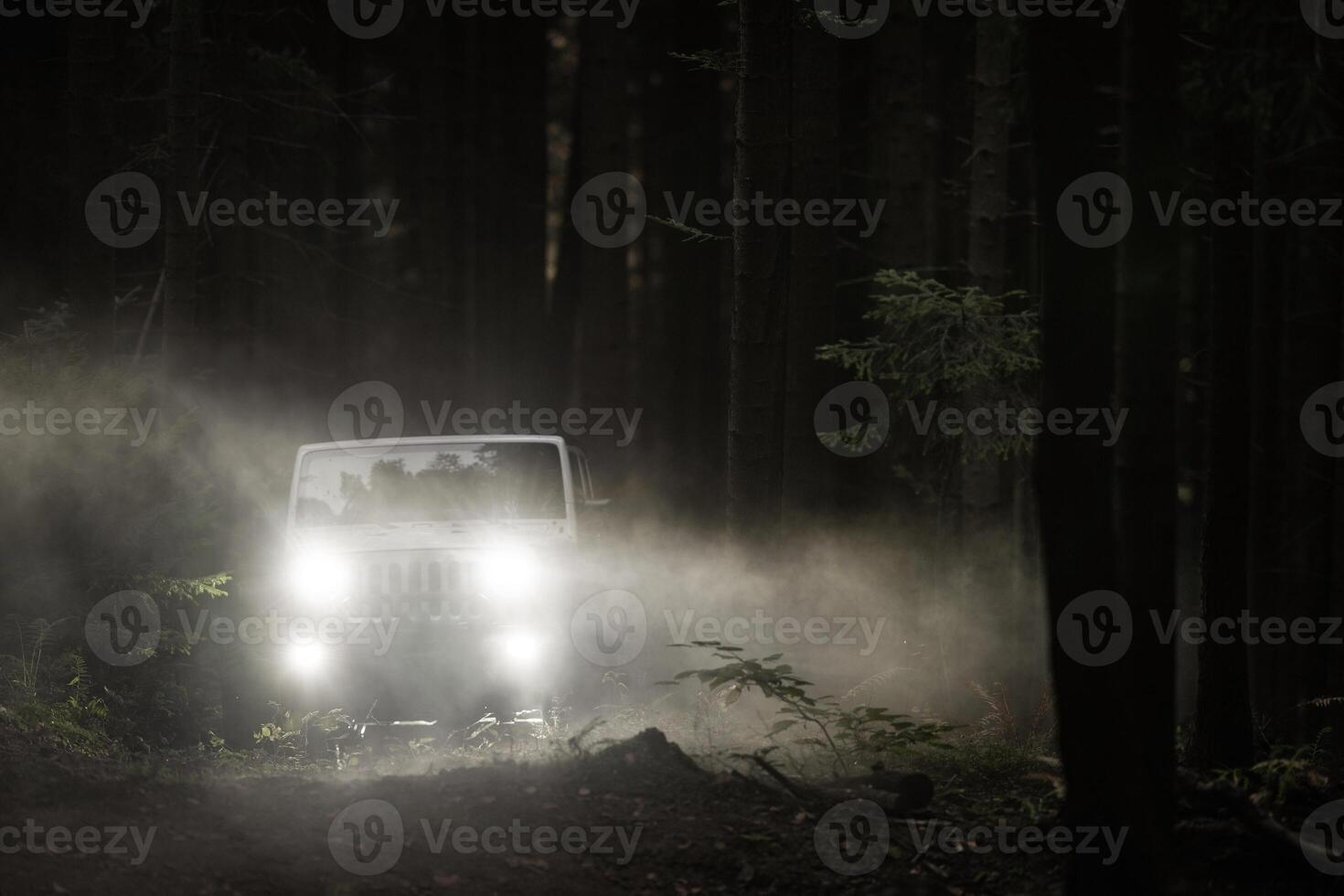 brumeux forêt sport utilitaire véhicule conduire photo