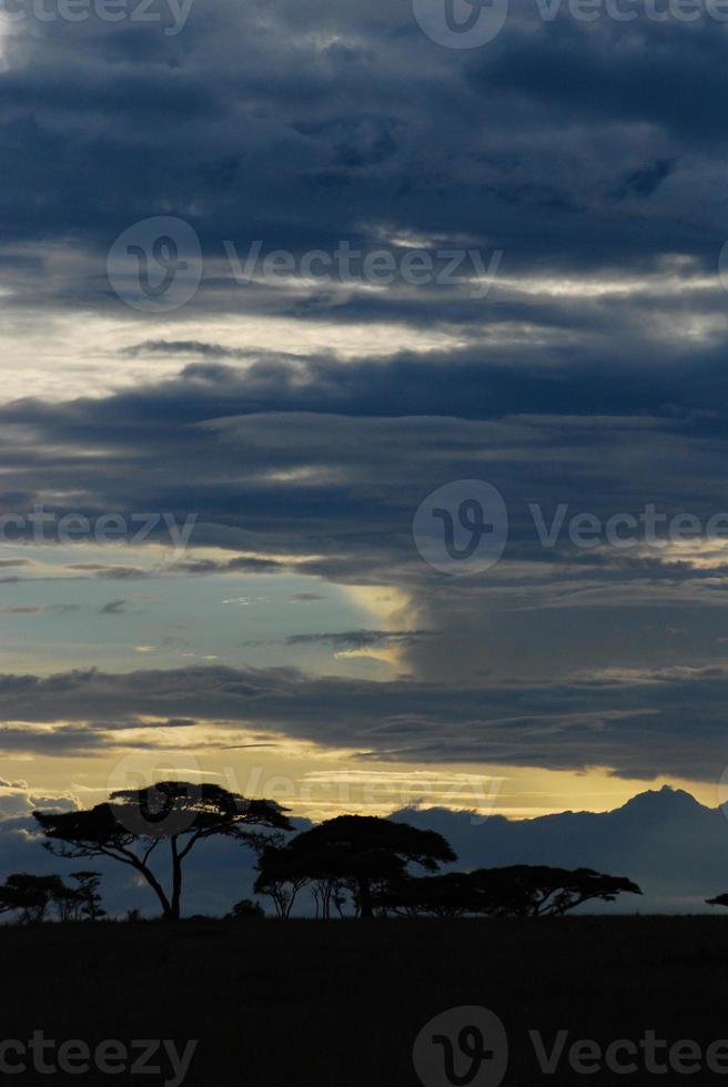 coucher de soleil sur les plaines d'afrique photo