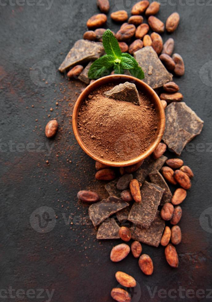 cacao en poudre et fèves photo