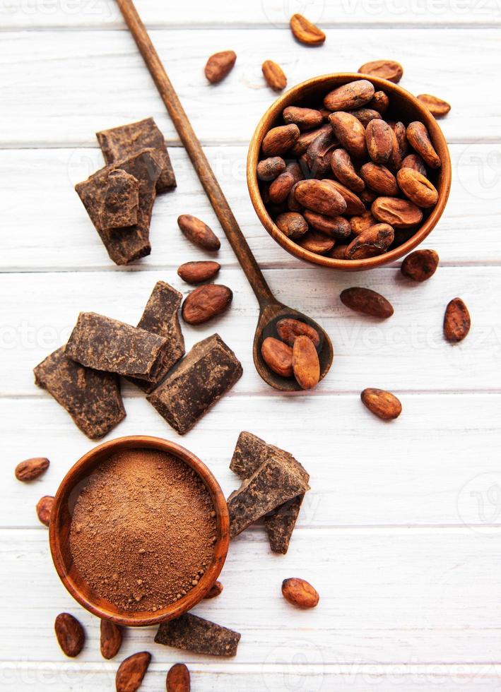 cacao en poudre et fèves photo