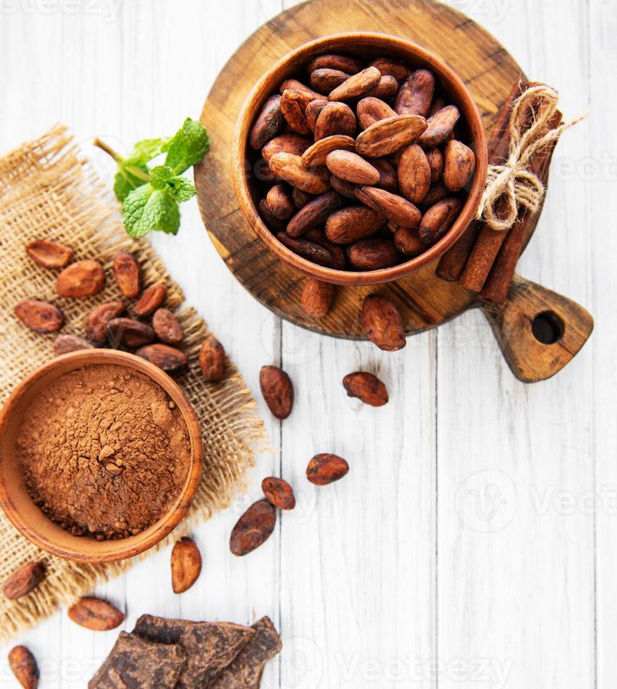 fèves de cacao, poudre et chocolat photo