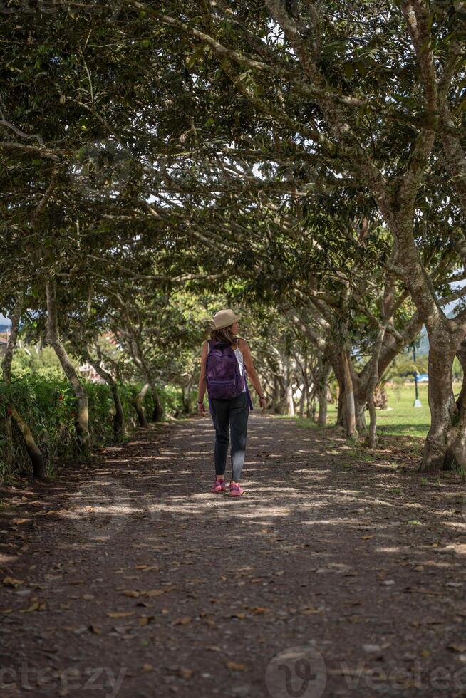 femme des promenades le long de une chemin plein de des arbres. photo