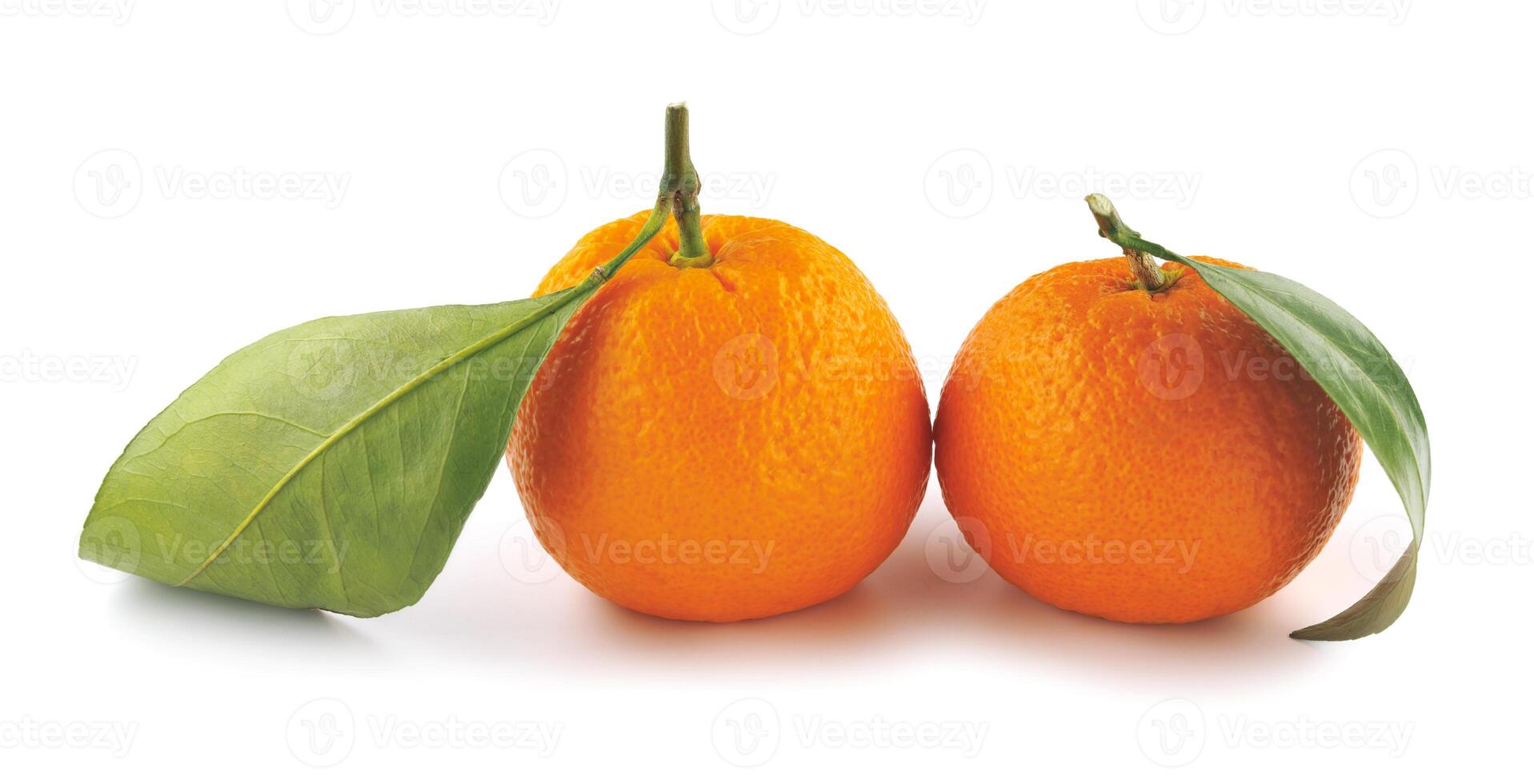 deux mandarines isolé sur une blanc Contexte. biologique mandarine avec vert feuille. mandarin. photo