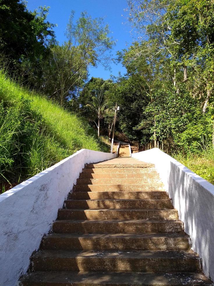 marches d'escalier extérieur vides s'élevant dans la forêt pendant la journée ensoleillée photo