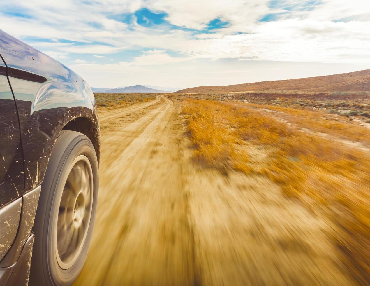 safari géorgien en gros plan sur les roues photo