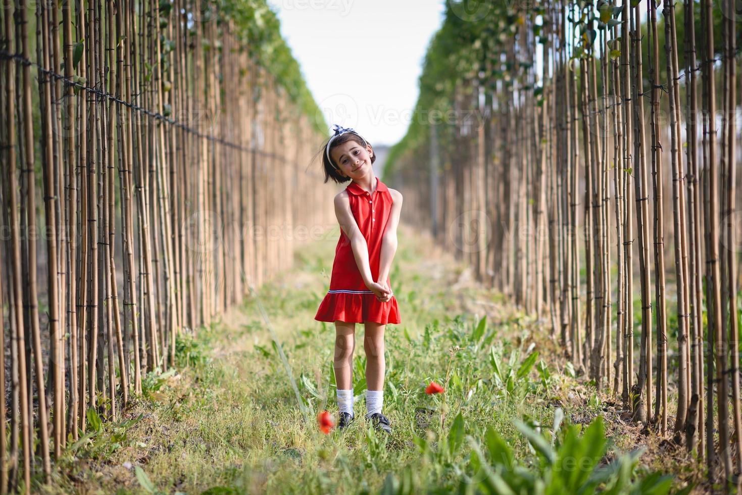 petite fille marchant dans le champ de la nature vêtue d'une belle robe photo