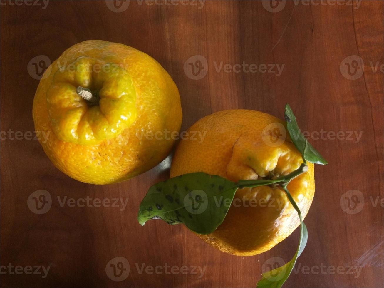 photo d'orange douce sans pépins du japon