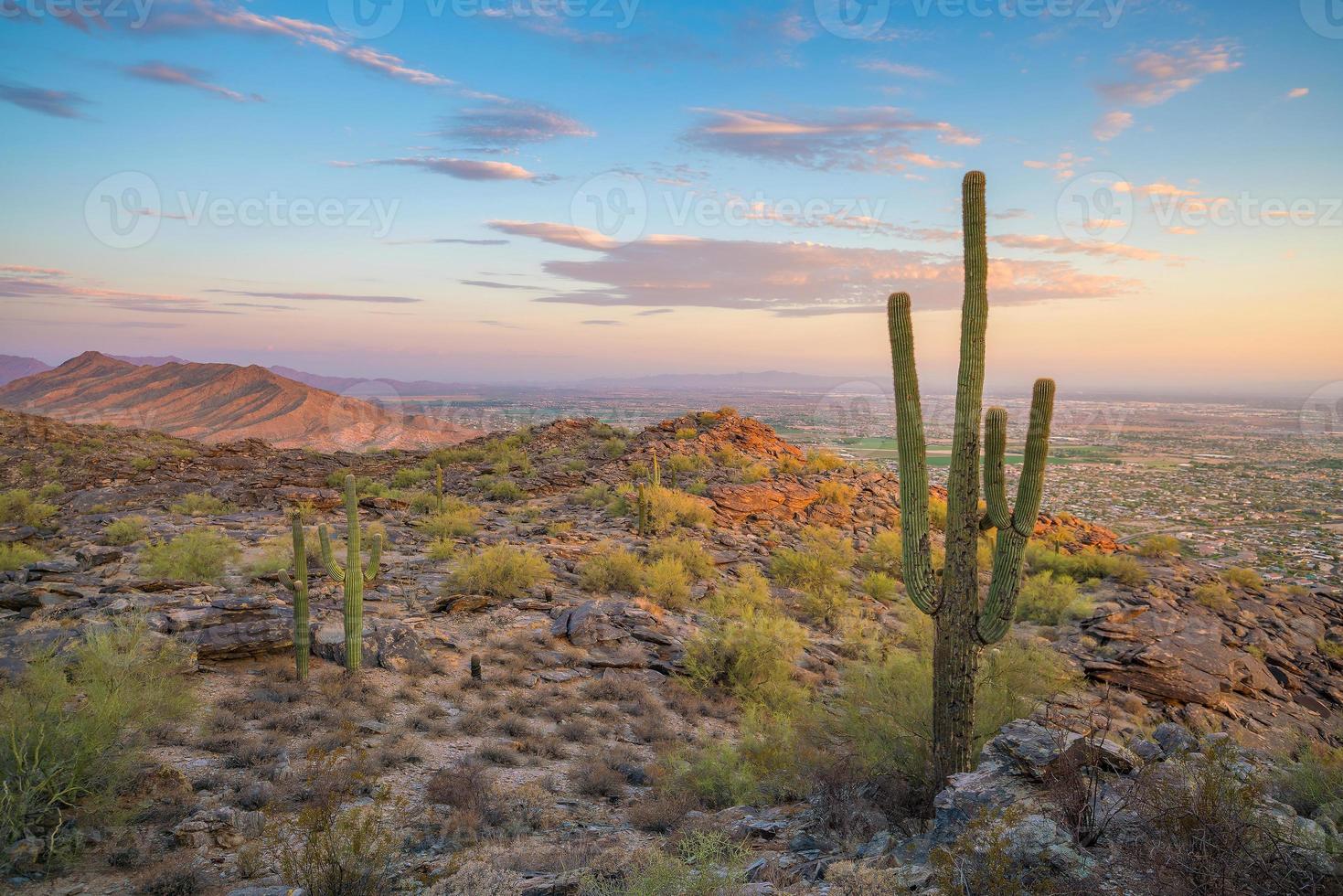 paysage naturel de phoenix, arizona, états-unis photo