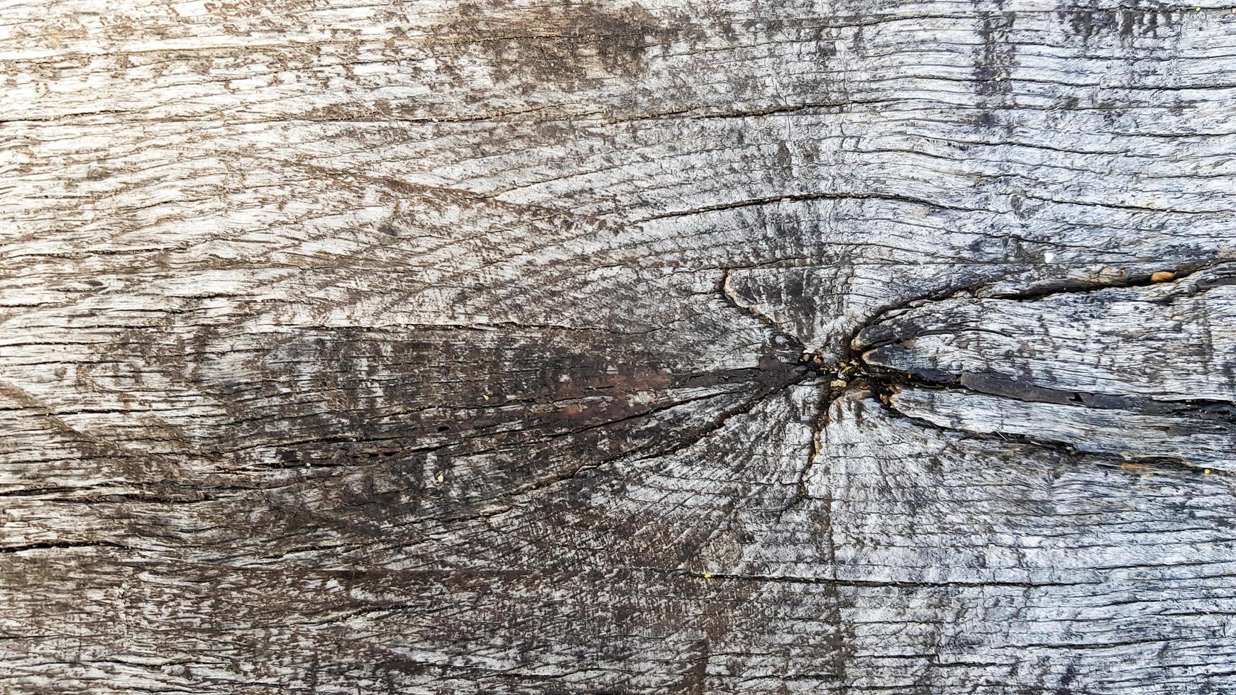 vieille texture en bois gris se bouchent. mise à plat, espace de copie, fond gris vide pour la conception. photo