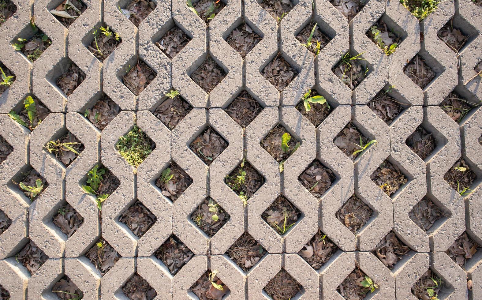 fond de dalles de pavage avec de l'herbe poussant à travers eux. carreaux de pierre sur le trottoir. sentier. fond à motifs texturé. revêtement écologique - caillebotis en béton. photo