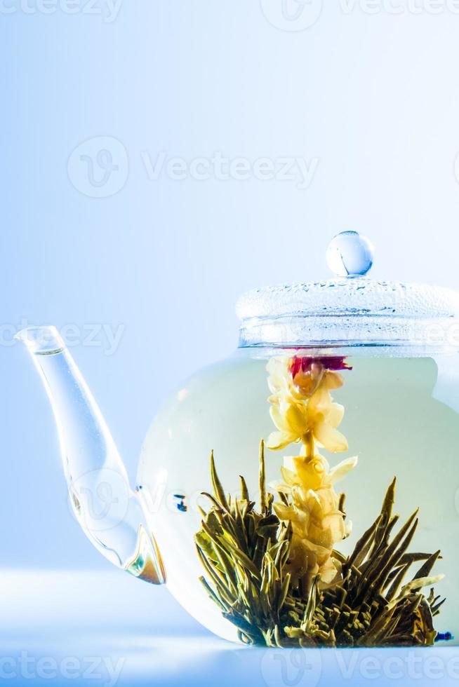 fleur de thé dans une théière transparente photo