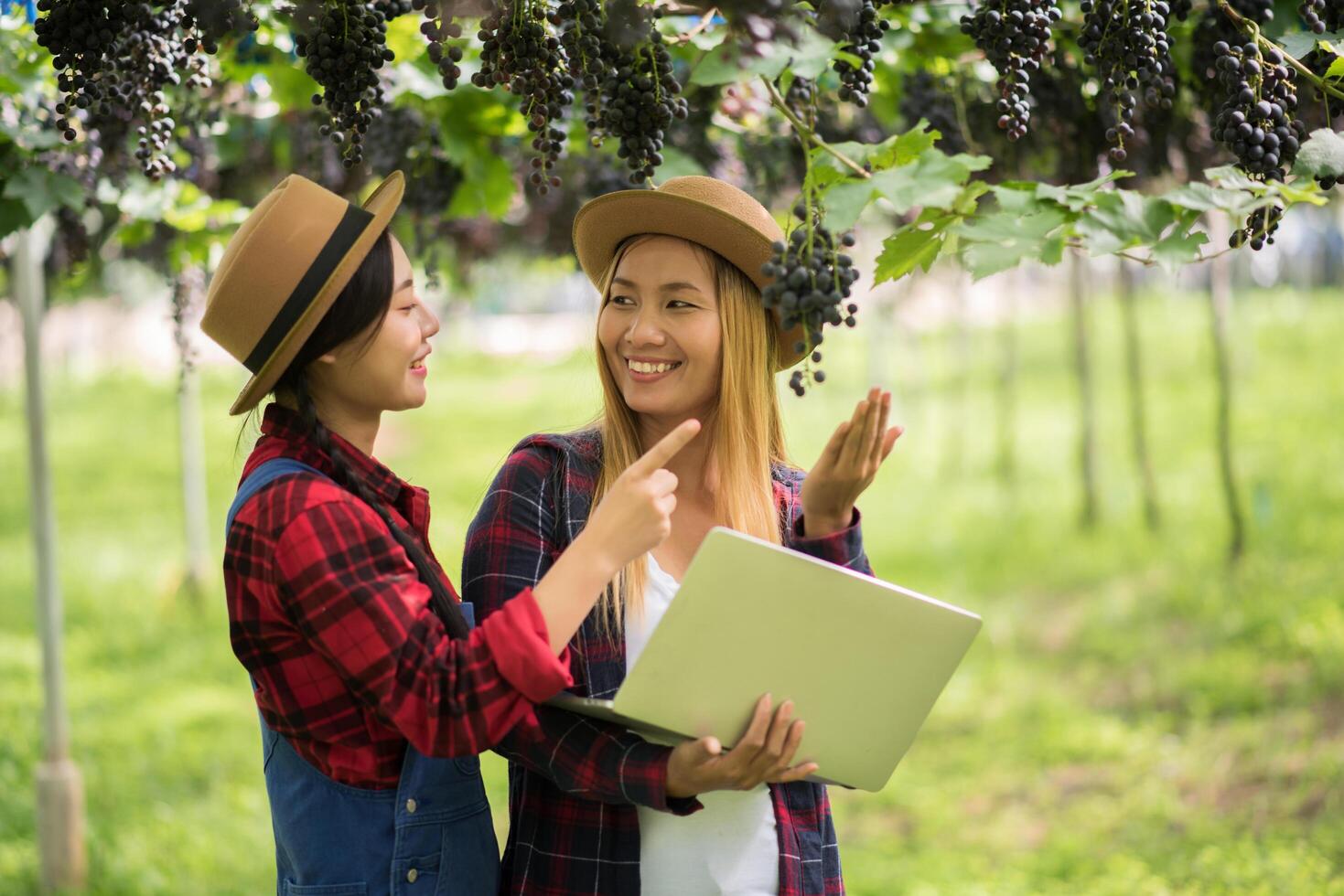 heureux jeunes femmes jardinier tenant des branches de raisin bleu mûr photo