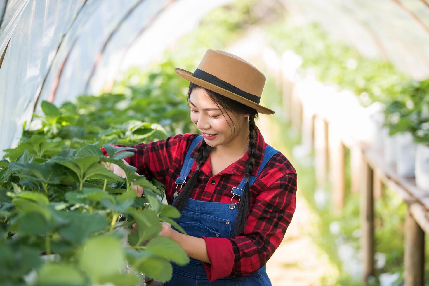 belle fermière vérifiant la ferme aux fraises photo