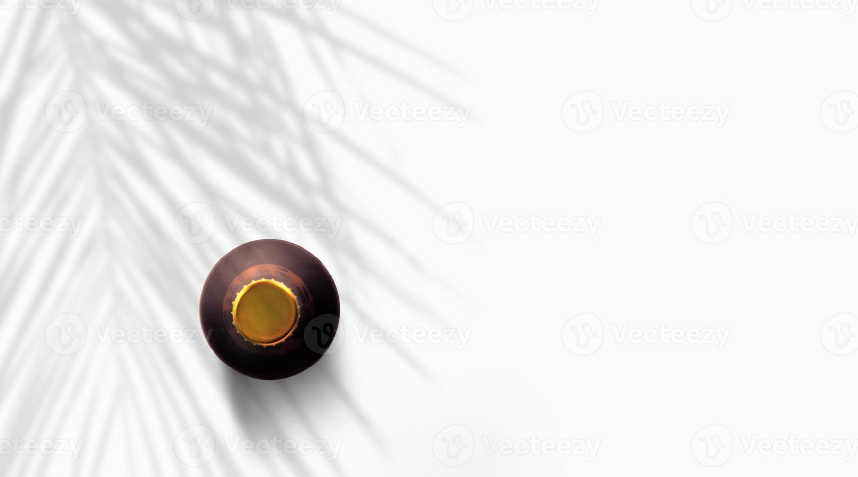 vue de dessus bouteille de bière marron foncé sous palmier isolé sur blanc. photo